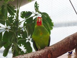 Haus des Meeres 4.02.2026